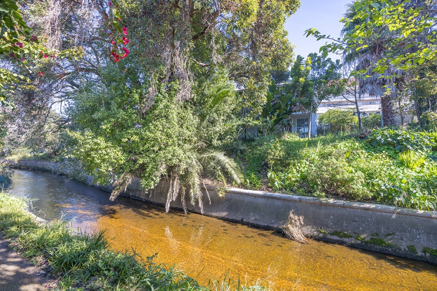 To Let 2 Bedroom Property for Rent in Rondebosch Western Cape